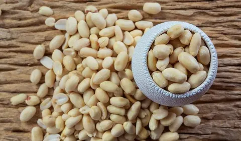 تصویر 1 از قیمت بادام زمینی سبز با فروش عمده